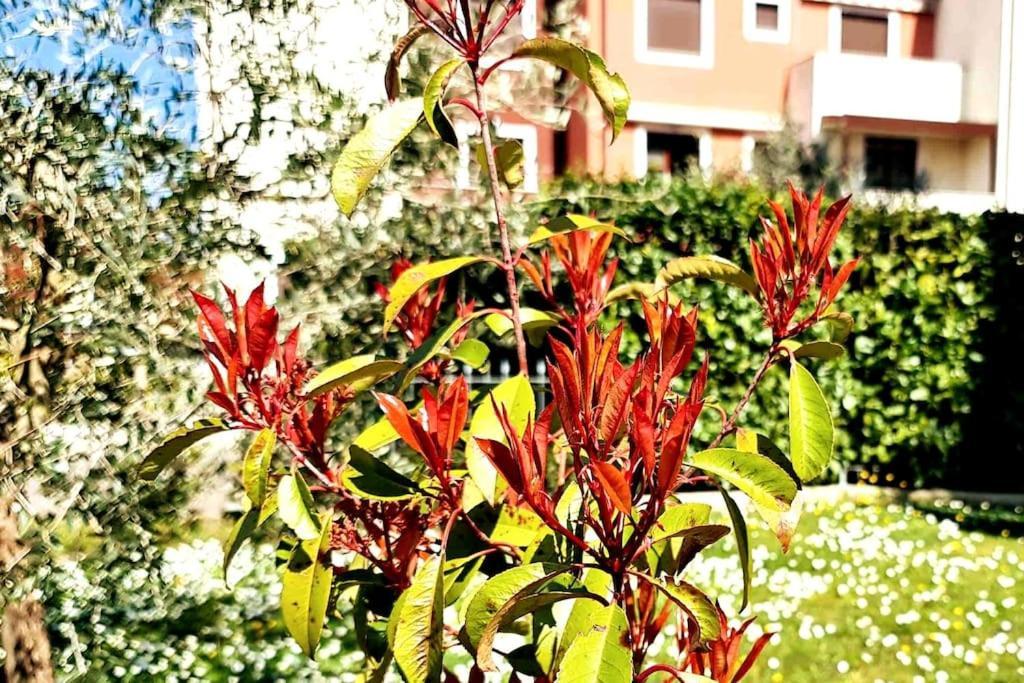 Cleo'S Home Arezzo Exterior foto